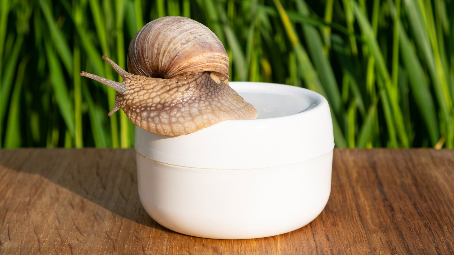 When To Apply Snail Mucin